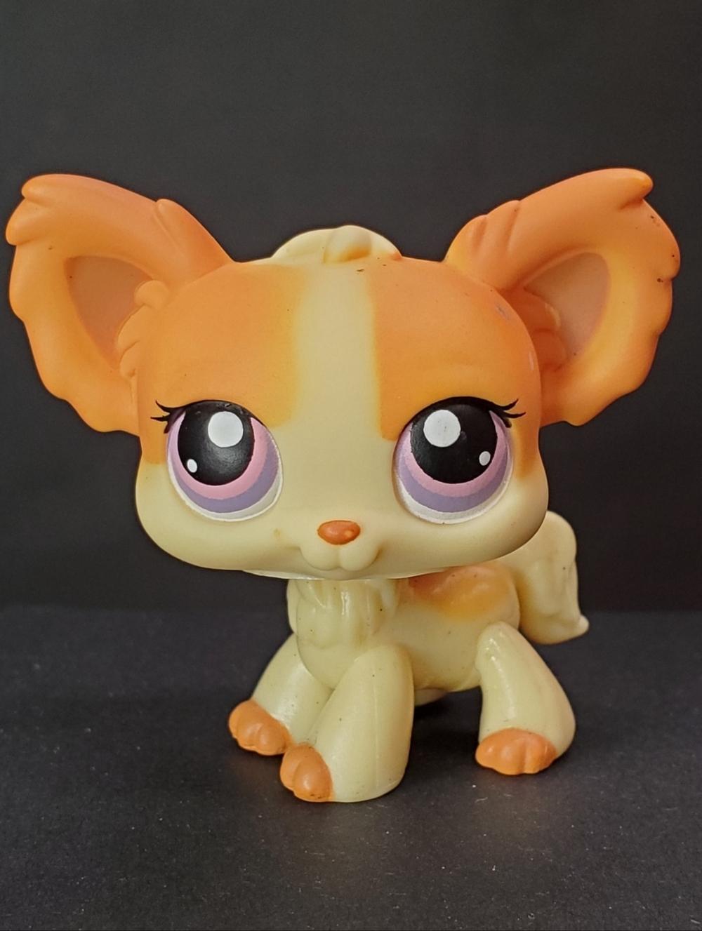 LPS Littlest Pet Shop #96 Chihuahua 2005